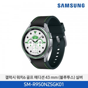 삼성 갤럭시 워치6 골프에디션 43mm 실버 | SM-R950NZSGK01