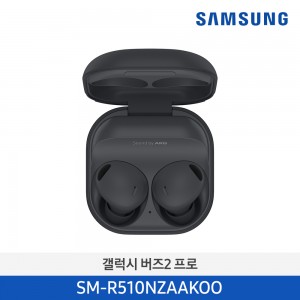 삼성 갤럭시 버즈2 프로 그라파이트 | SM-R510NZAAKOO